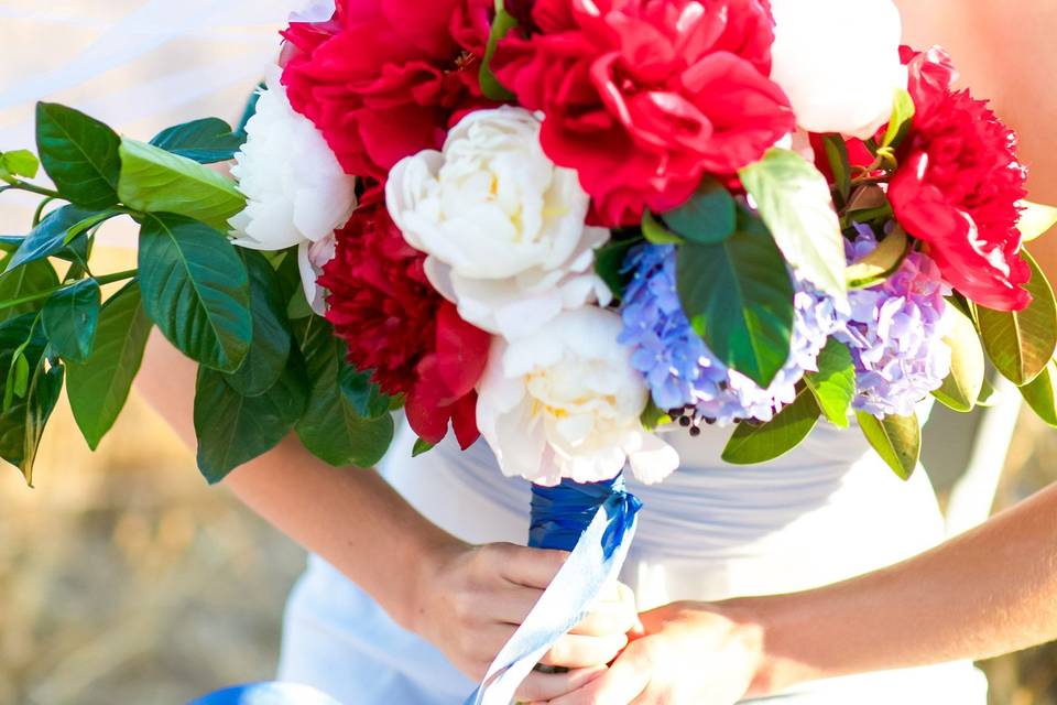 Colorful flowers