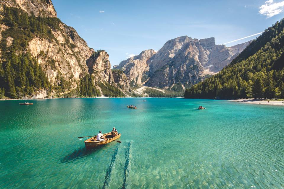 Thistlebound Travel Co
