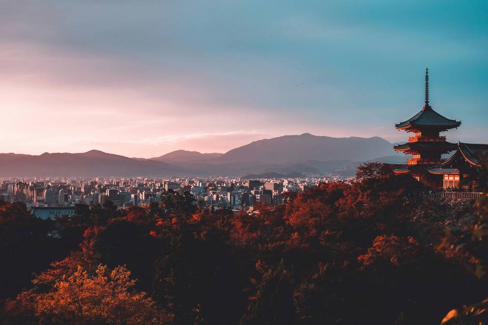 Thistlebound Travel Co