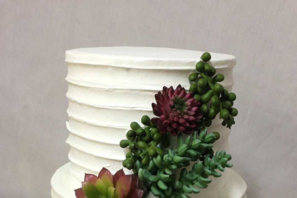 Textured cake and succulents