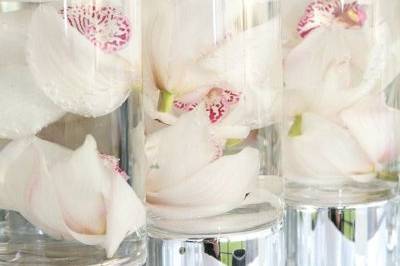 Maria Simone Events