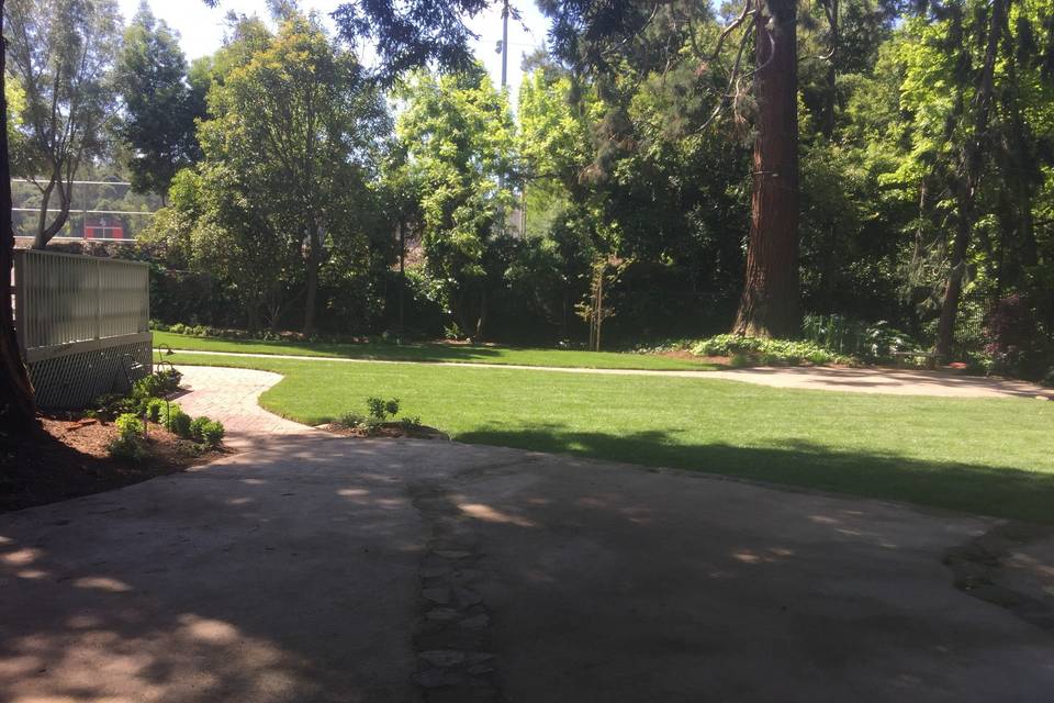 Traditional Wedding Tree, Lawn and path to stairs from Shade Patio 2017