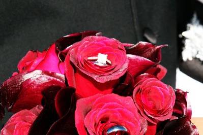 Rosas con Anillos