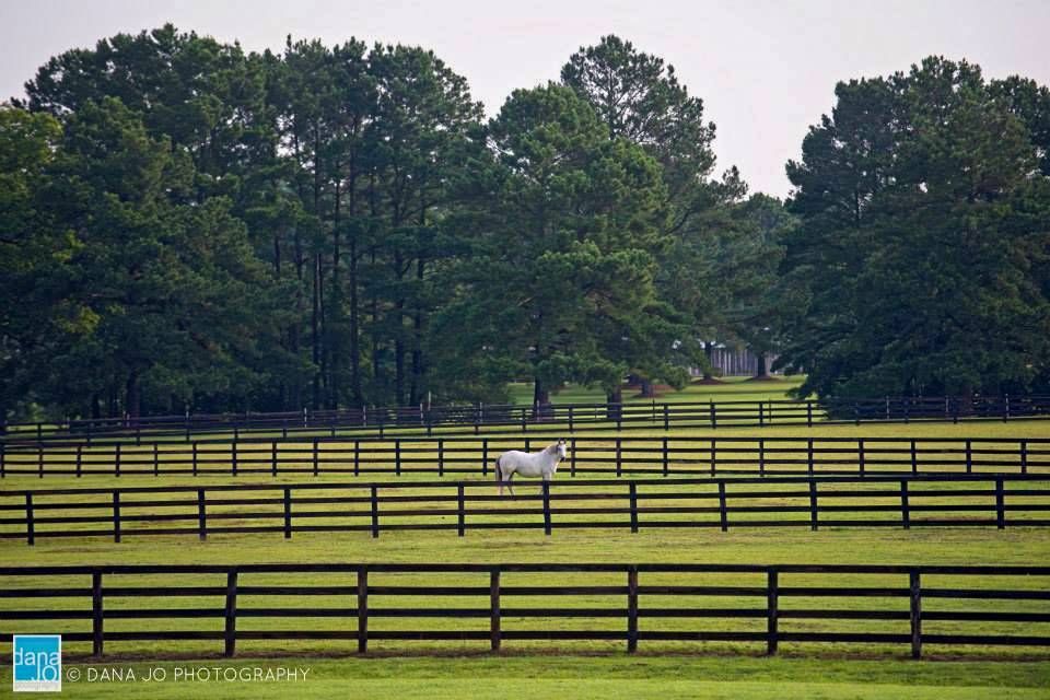 Fox Hollow Farm LLC