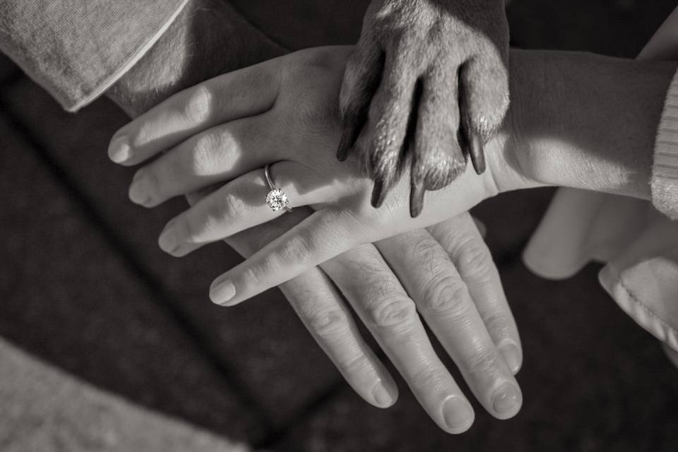 Engagement