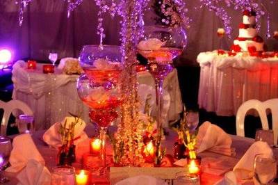 Crystal Tree'sWhite Feathers Event Rental