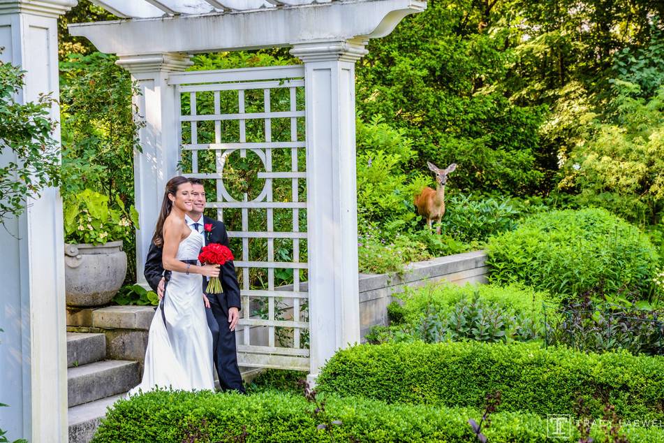 Tracy Laswell Photography