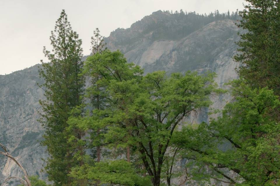 Yosemite 2026