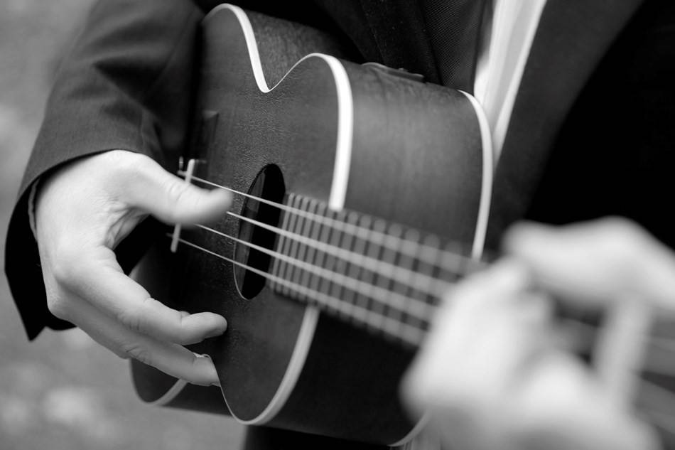 Ukulele in black and white