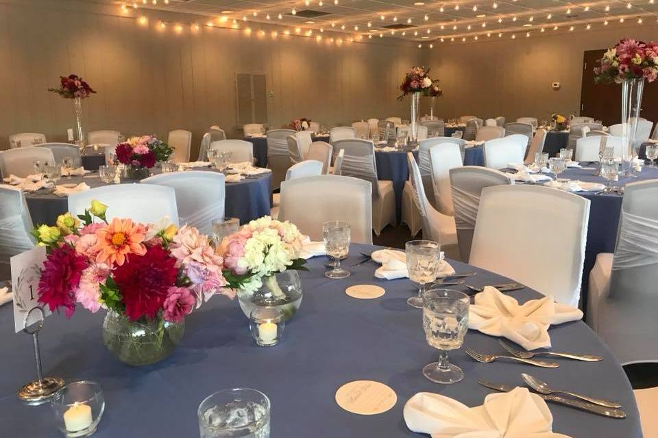 Wedding Reception