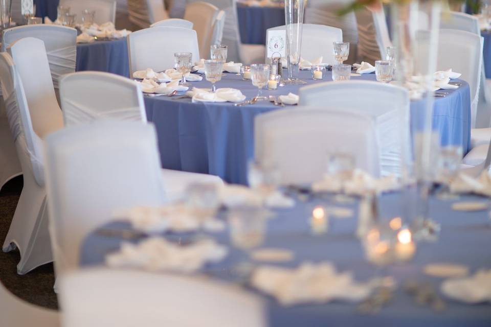Wedding Reception