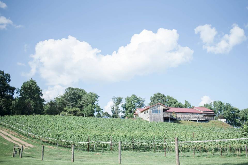 Grandview Vineyard