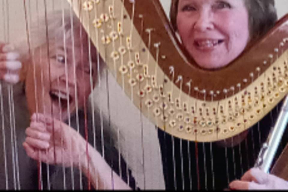 Laura Zaerr, harpist