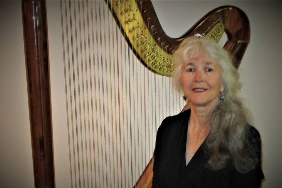 Laura Zaerr, harpist