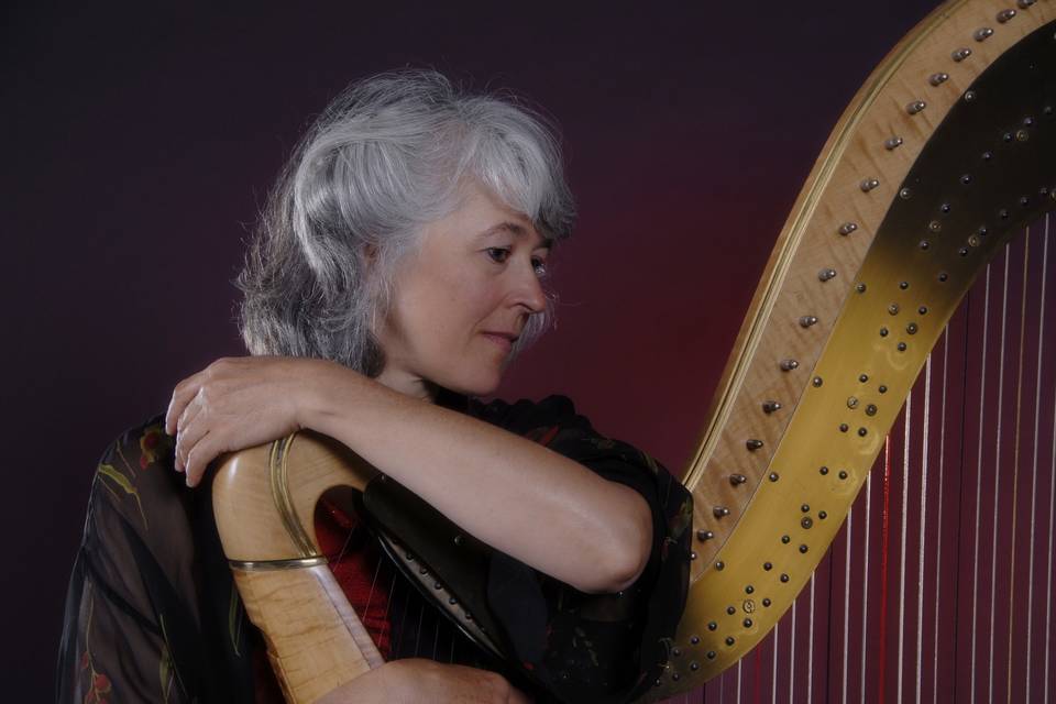 Laura Zaerr, harpist