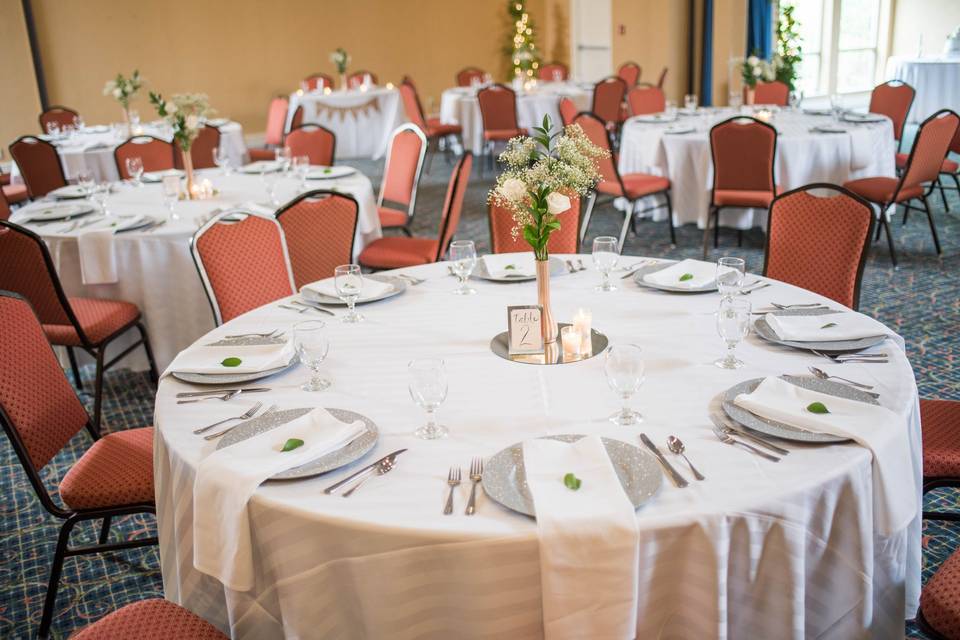 Table setup with centerpiece