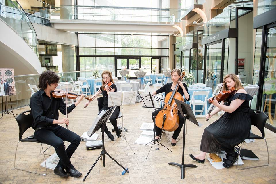 Tribeca String Quartet