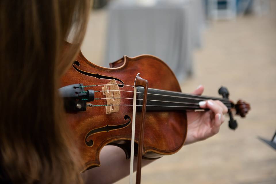 Tribeca String Quartet