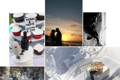 Shawn Starr Photography