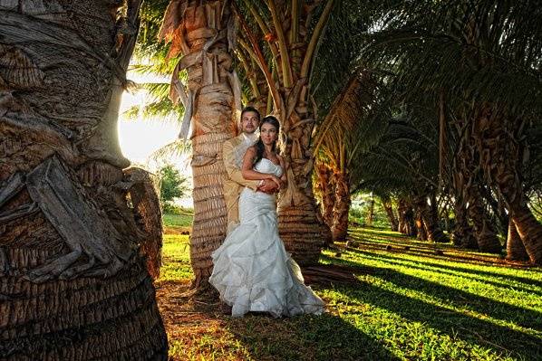 Shawn Starr Photography