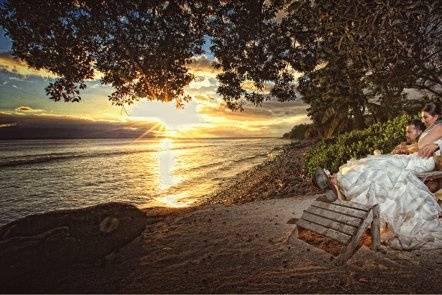 Shawn Starr Photography