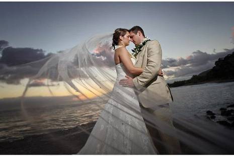 Shawn Starr Photography