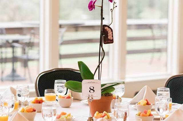 Centerpieces