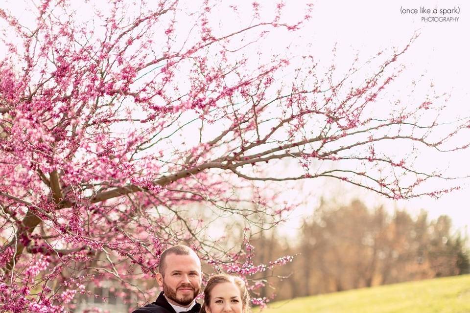 Couple's Portraits