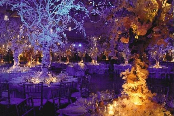 Dreammakers Wedding and Events
