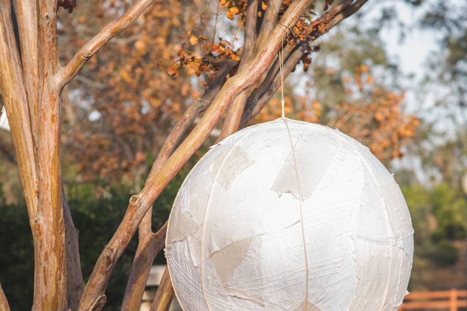 Love is in the air at Citrus Park Wedding Venue in Riverside, CA.