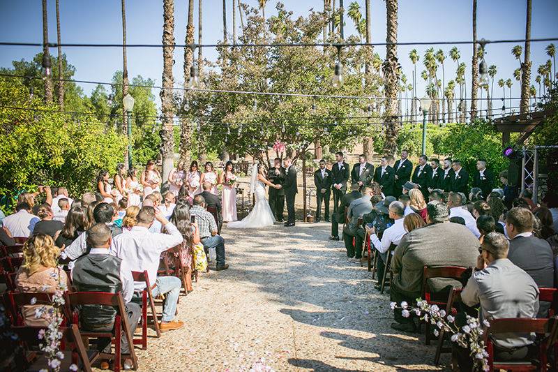 Citrus Park Weddings & Events