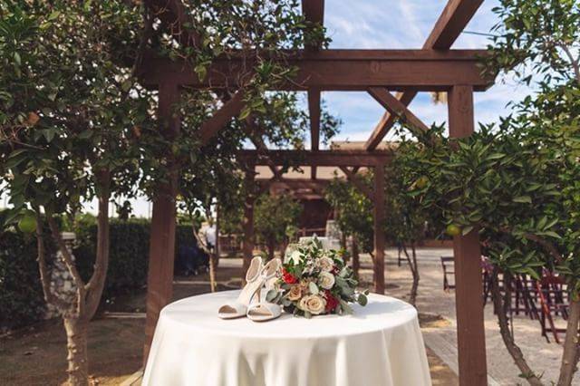 Citrus Park Weddings & Events