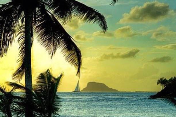 Palm Island Resort - Grenadine