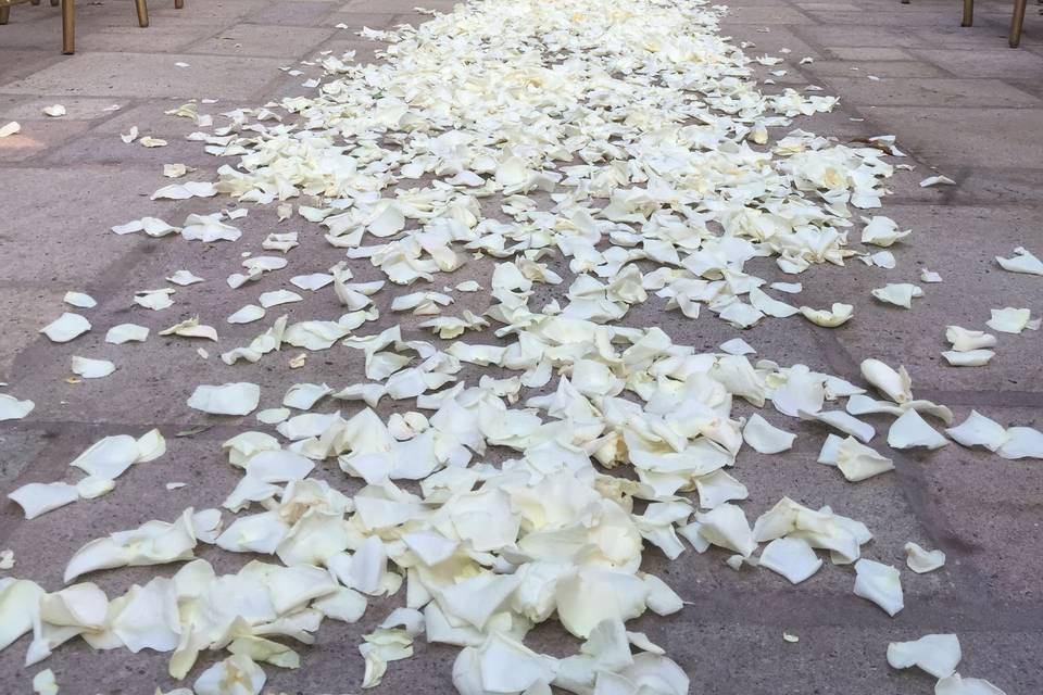 Aisle with white petals