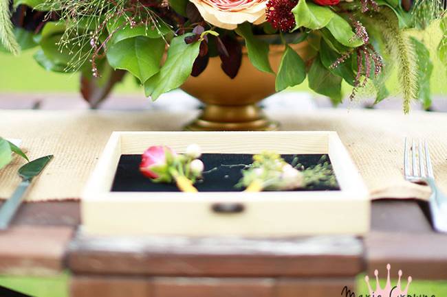 Marie Crowne Photography