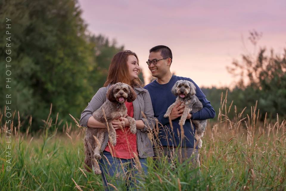 Redmond engagement with dogs