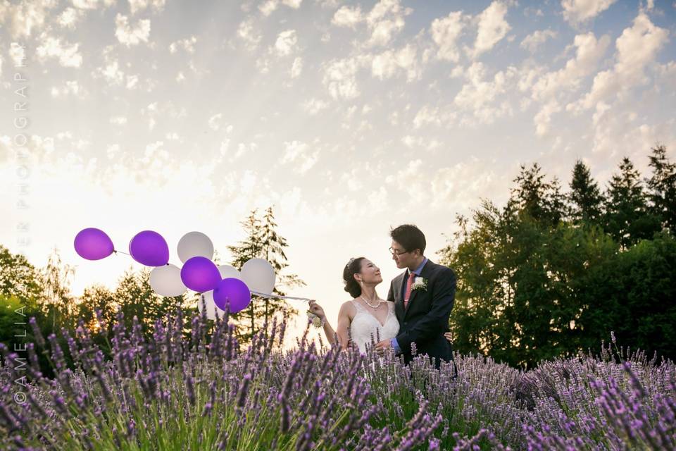 Woodinville lavender wedding