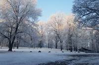 A beautiful backdrop for a winter wedding