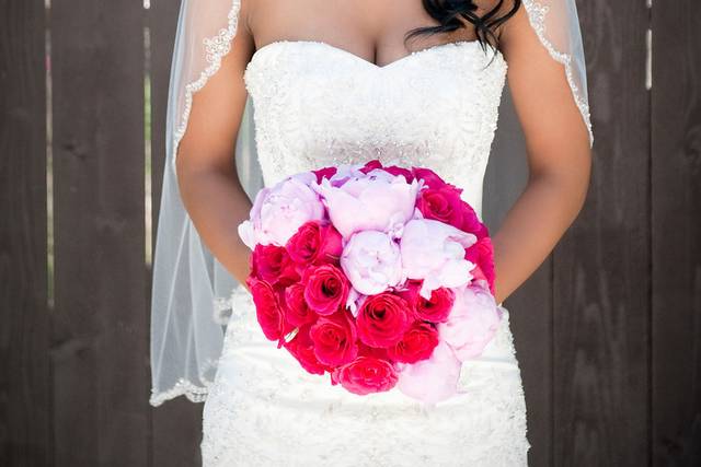 Blush and Glow