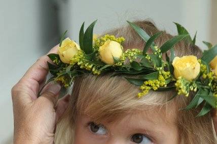Beth Vasquez Photography