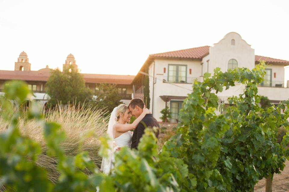 Ponte Winery & Vineyard Inn