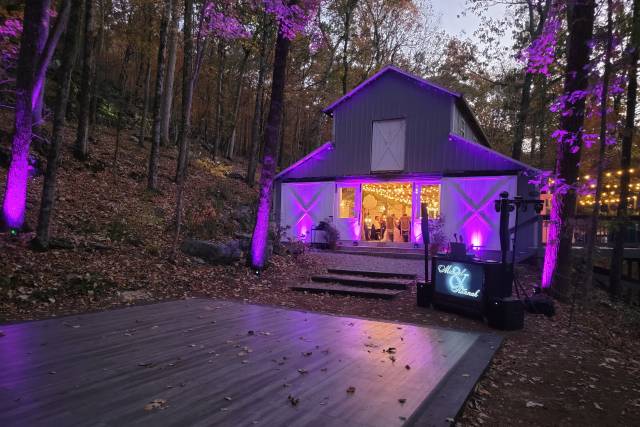 Up Lights to Enchanted Forest