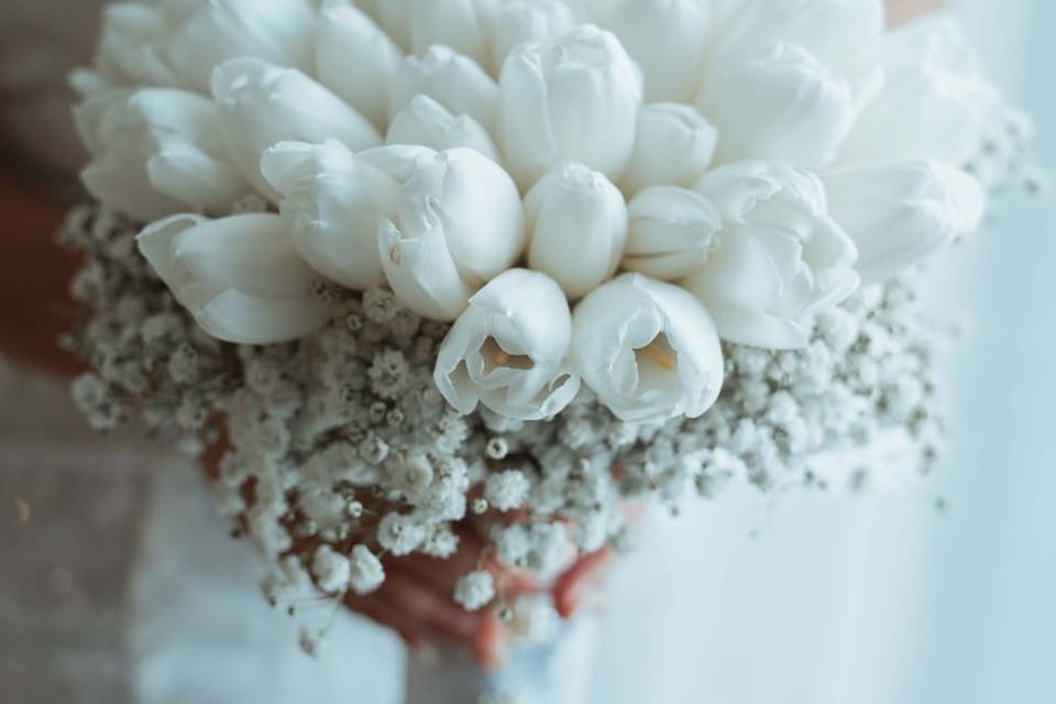 Tulips bouquet