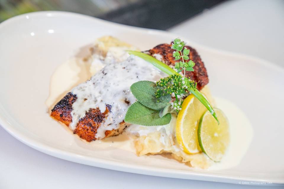 Salmon