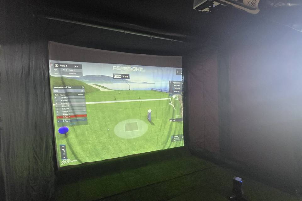 Pro-grade simulator, clubs inc