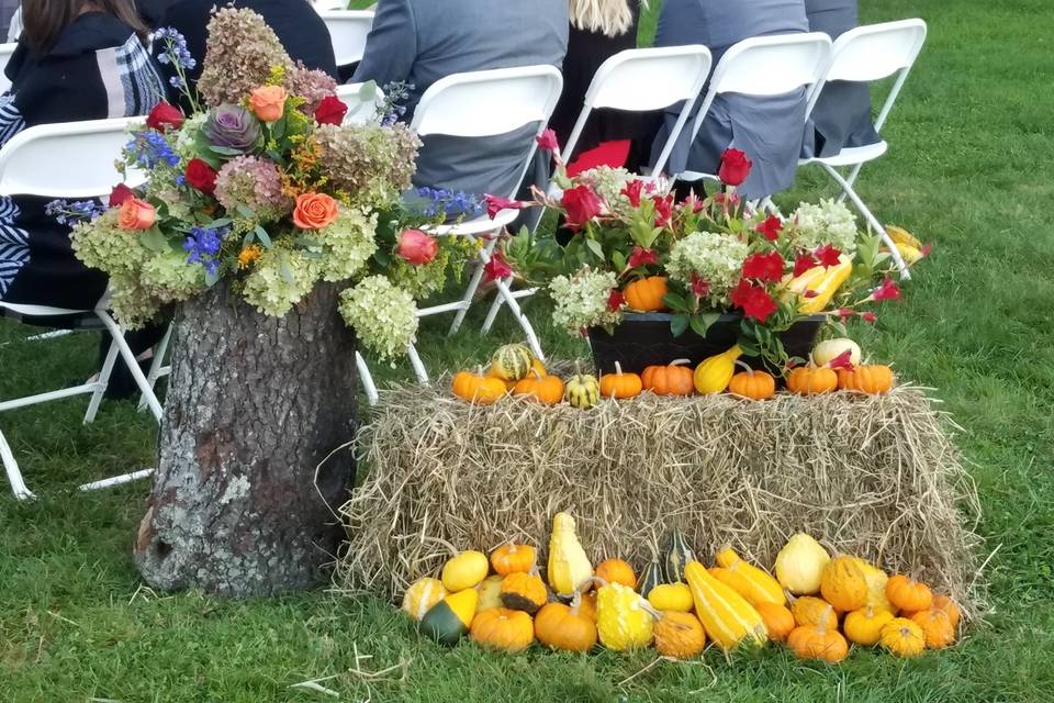 Continuation of the fall wedding ...the father of groom grew all these gourds, pumpkins for the decor...Love these special touches.