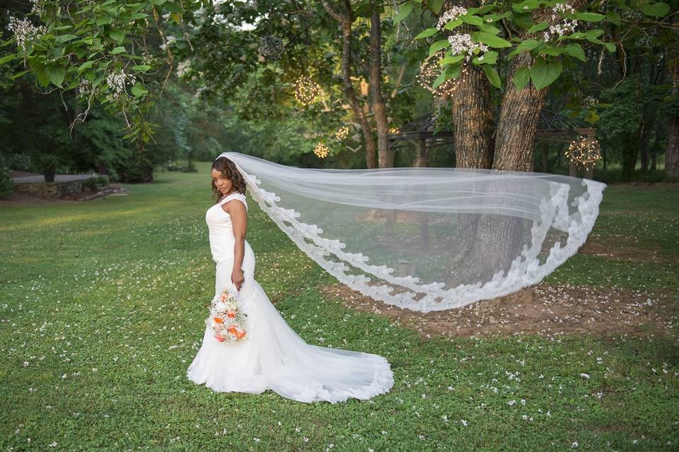 Wedding Photography Pixel
