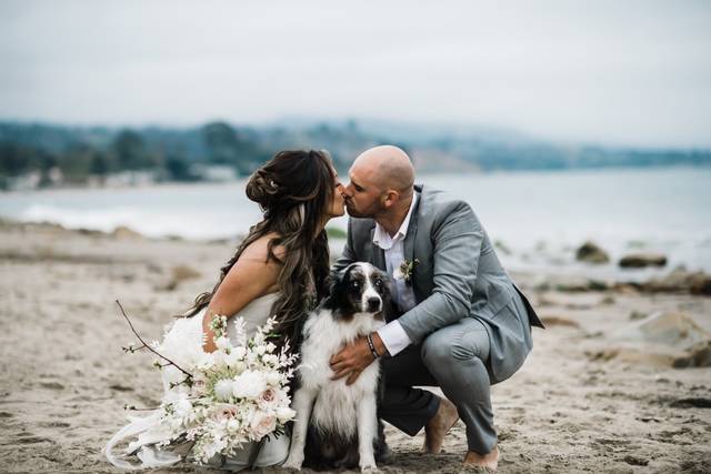 Weddings and Pets