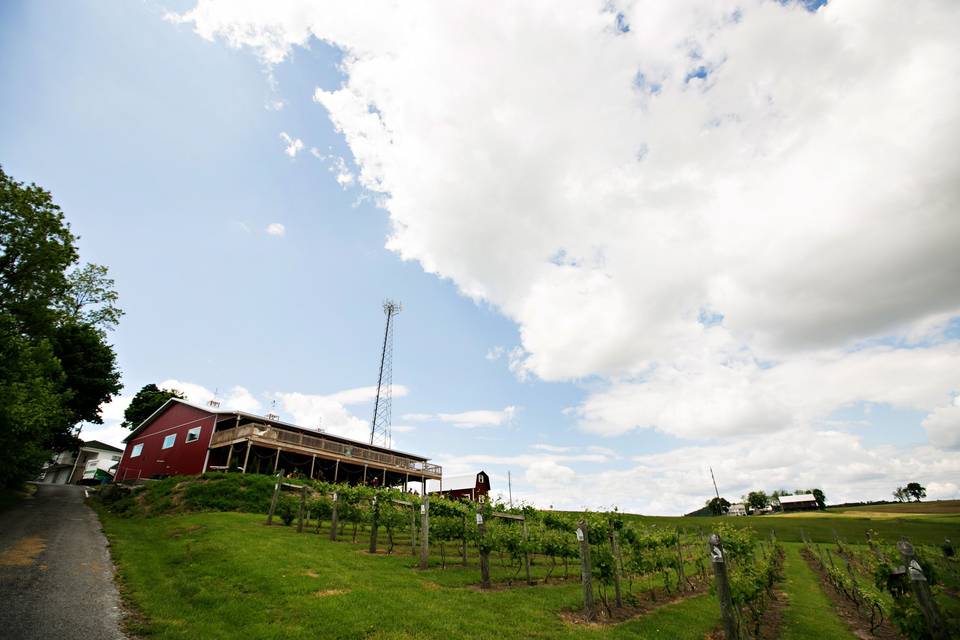 The Vineyard and Brewery at Hershey