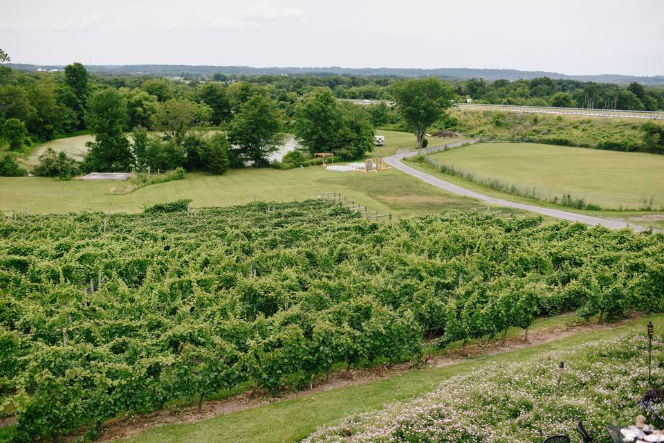 The Vineyard and Brewery at Hershey